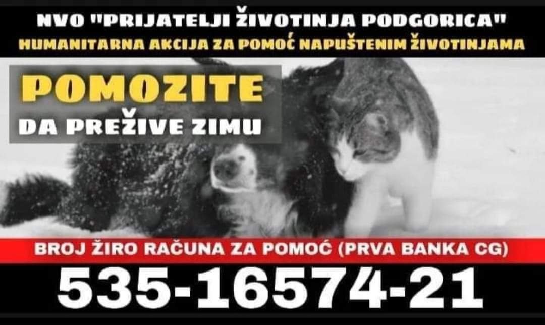 Novogodišnja humanitarna akcija: "Pomozite da prežive zimu"