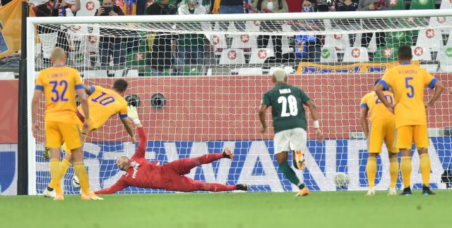 Žinjak odveo Tigres u finale SP