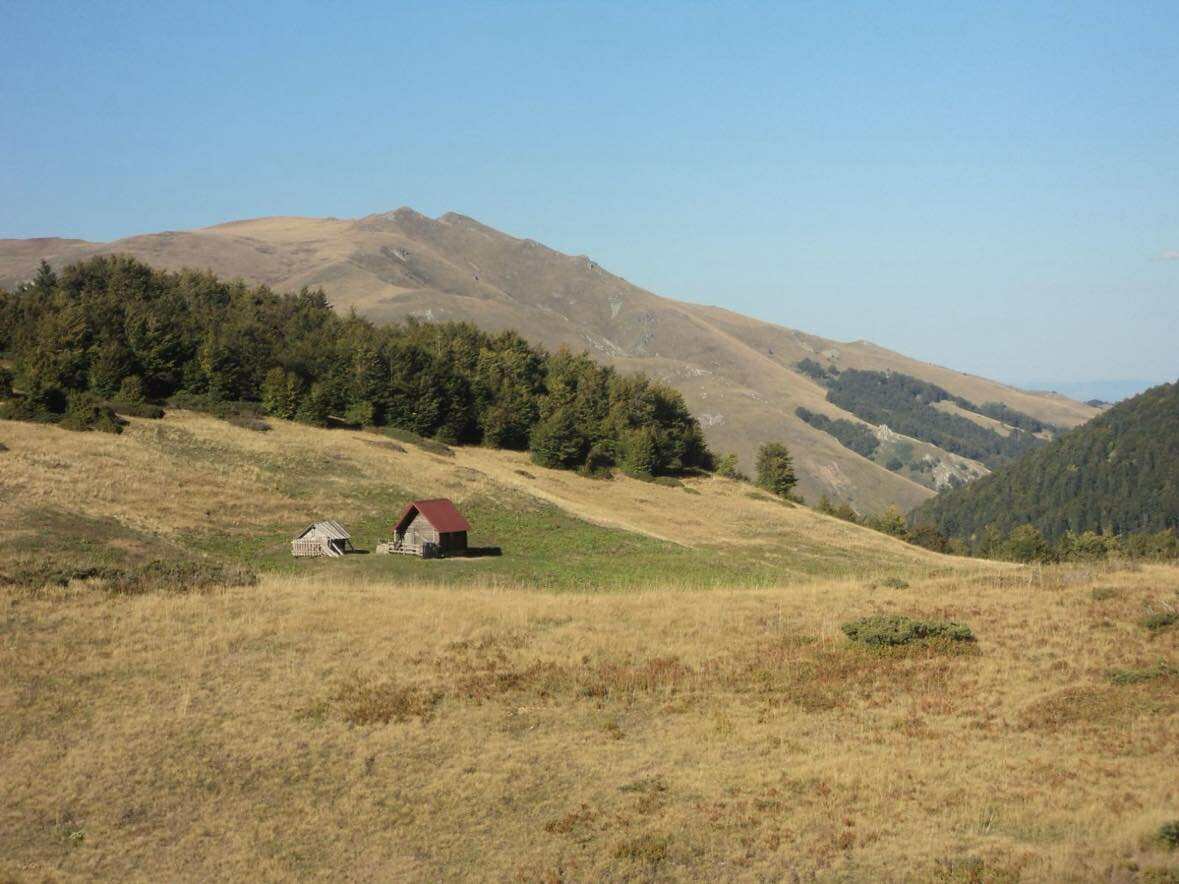 Danas sunčano, do 21 stepen