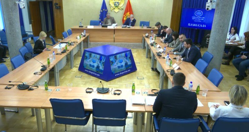 Na Zakonodavnom odboru bez podrške za amandman SNP-a da se riječ aneksija zamijeni terminom ujedinjenje Crne Gore i Srbije