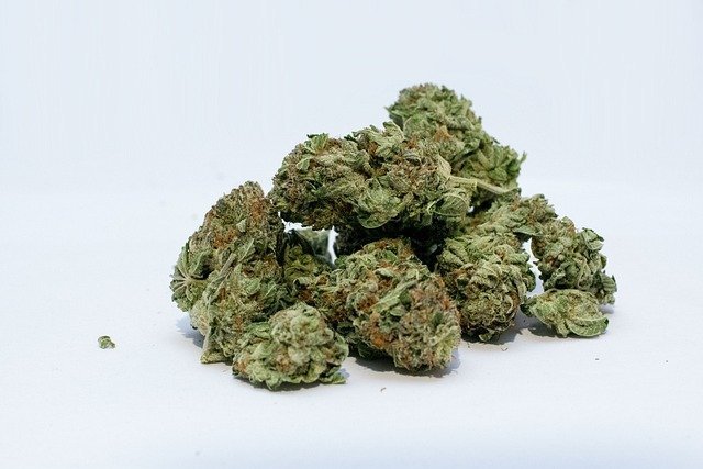 Pretresom u Nikšiću pronađeno 66,2 grama marihuane, uhapšena jedna osoba