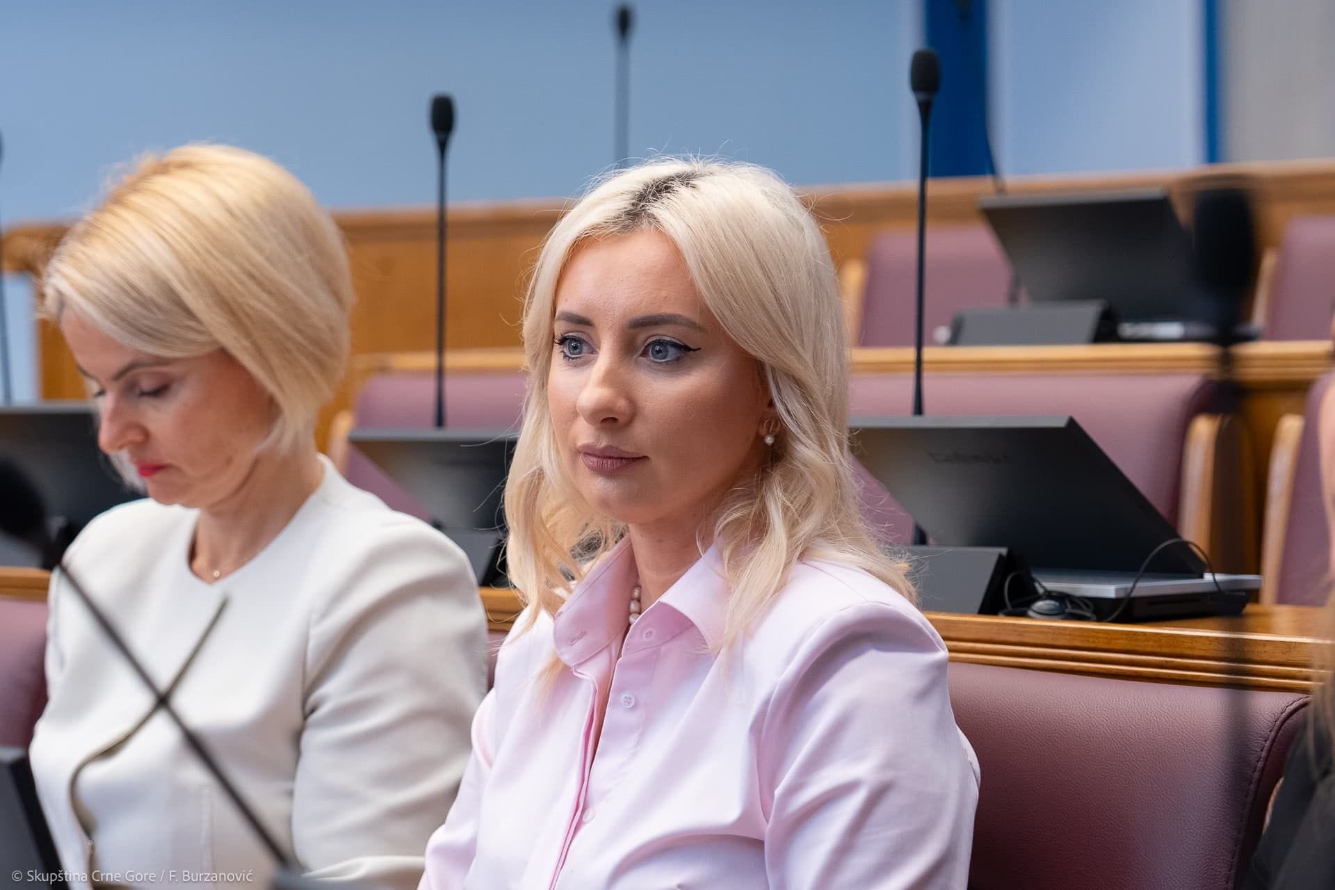 Gorčević o Botunu: Vlada ima odgovor na svaki scenario