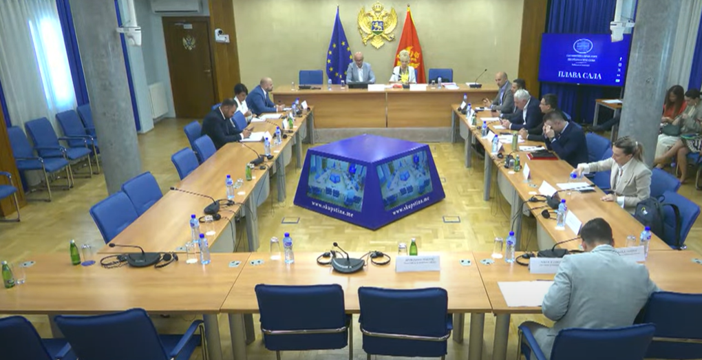 Usvojen Izvještaj o razmatranju Predloga zakona o ANB, uzdržan Bojović, protiv Zirojević