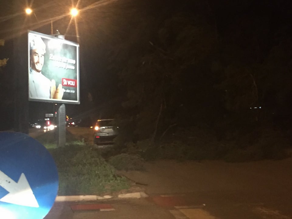 Umalo tragedija u Podgorici: Stablo se obrušilo na put ka Marezi, porodica se spasila!