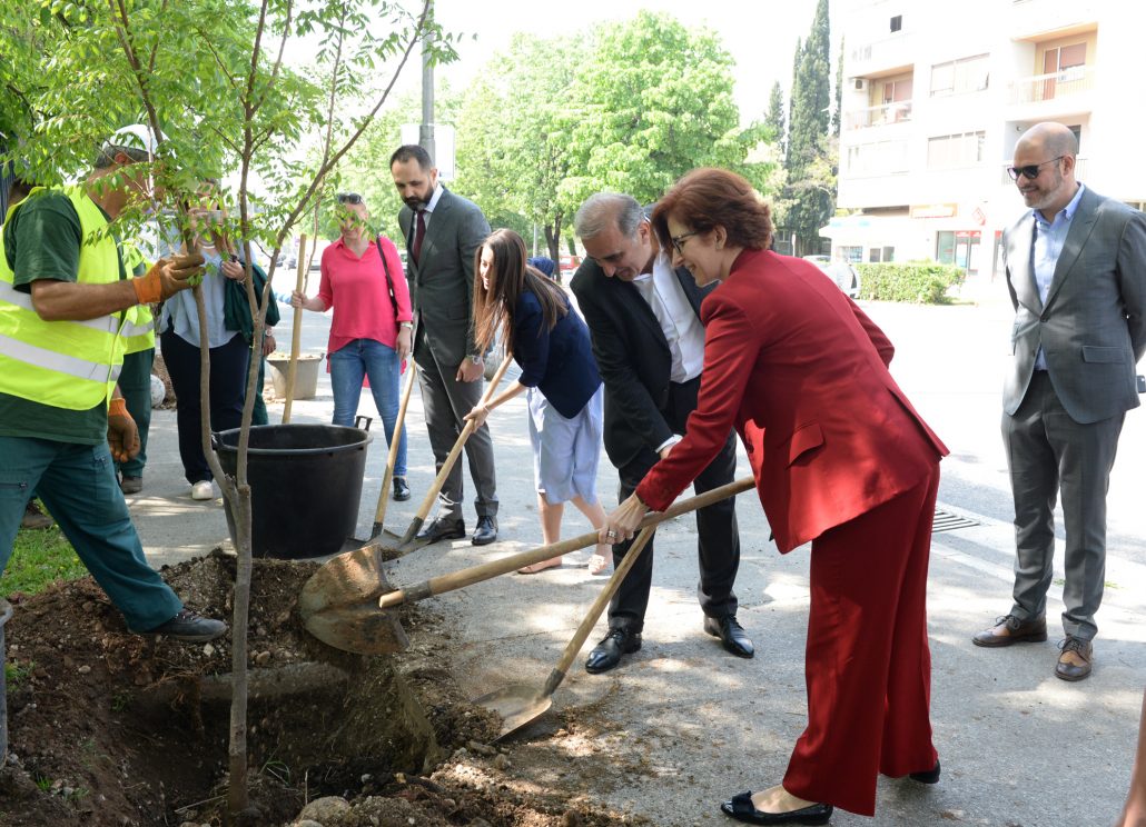 Posađeno deset novih stabala u okviru akcije promovisanja Zelenih igara zemalja Evrope