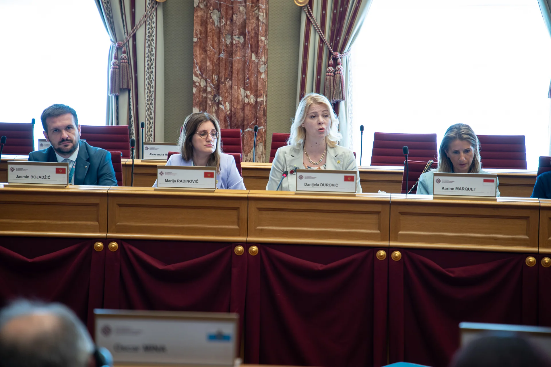 Đurović: Pad povjerenja u institucije podstiče jaz između građana i vlada