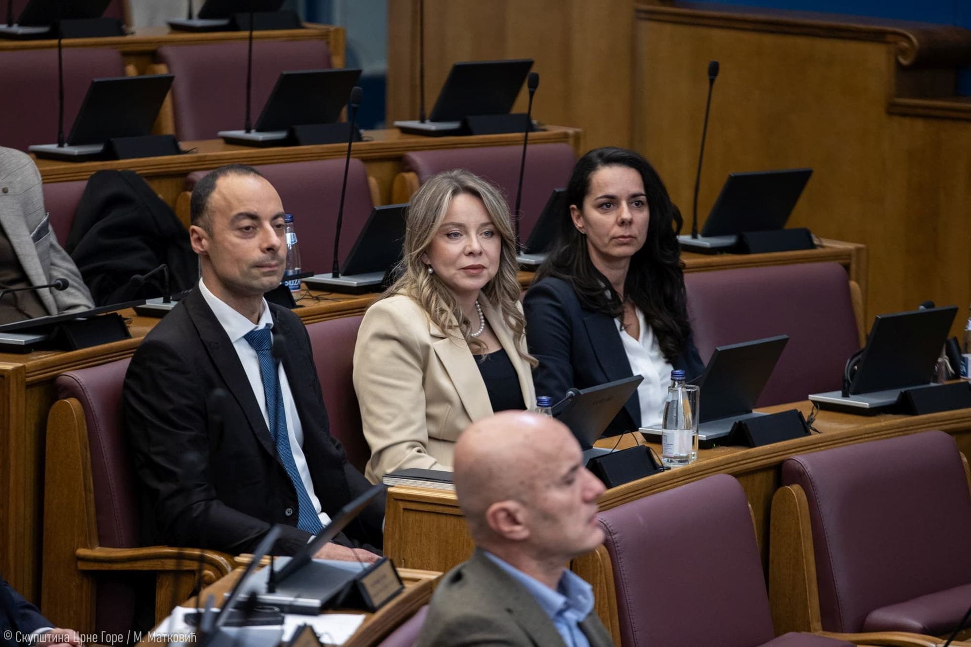 Izabrani članovi Tužilačkog savjeta i viceguverneri CBCG; Mandić: Sa ovom većinom gotovo bismo mogli promijeniti i Ustav