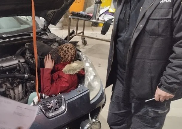 Carinici pronašli migrantkinju sakrivenu ispod haube automobila