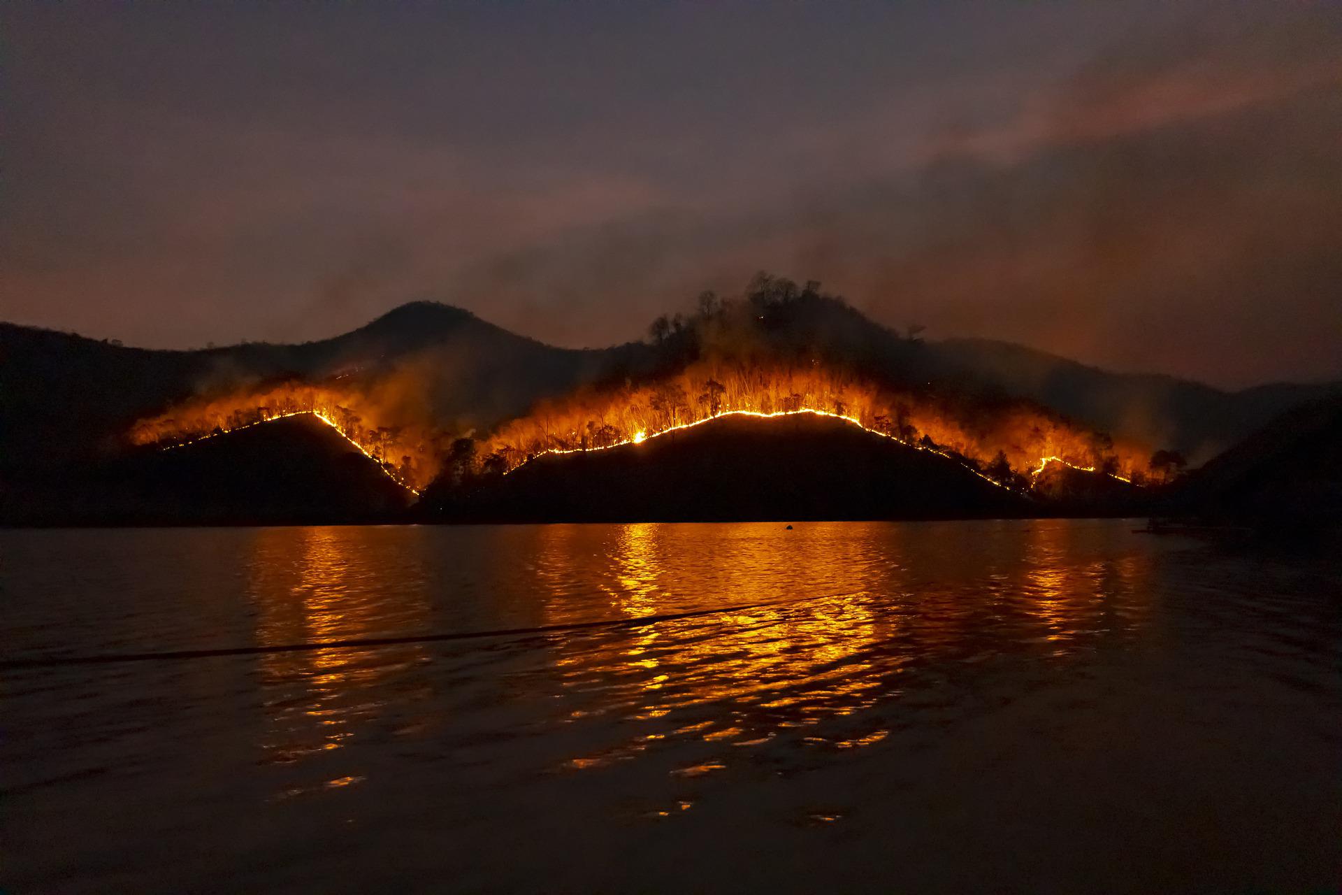 Zastrašujuće scene širom Evrope – požari prijete domovima, stotine ljudi umrlo od vrućine