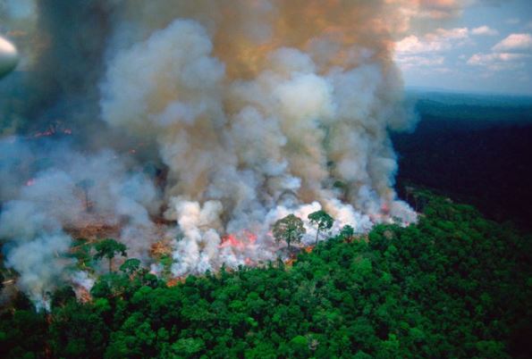 Brazil angažuje avione i 44 hiljade vojnika zbog požara