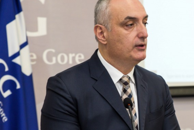 Nikolić:Univerzitet prepoznaje značaj dijaspore i migracija u crnogorskom društvu