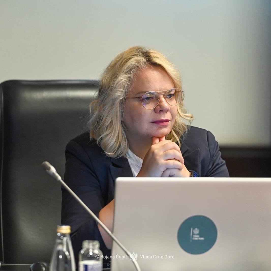 Vukićević: Brisel je moj prijedlog prioritetne avio destinacije, o parama i linijama nakon analiza