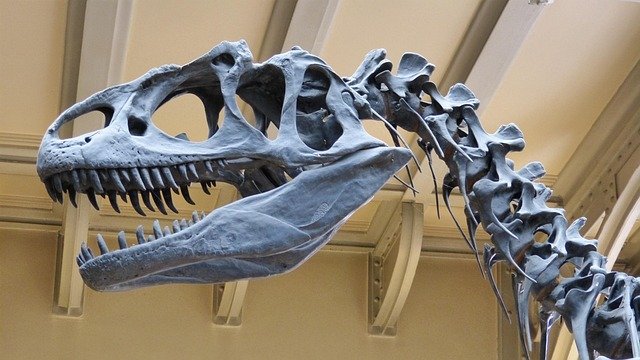 Jedan od najstarijih dinosaurusa pronađen u Argentini