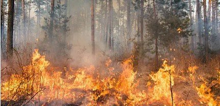 U požaru u Albaniji povrijeđene tri osobe, evakuisano 2.000 ljudi
