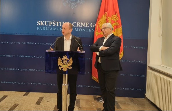 Knežević: Odbio sam ponudu Krivokapića da budem kandidat za potpredsjednika u Vladi