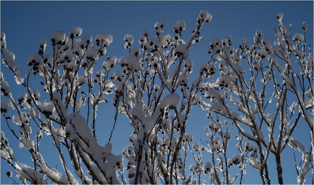 Sjutra oblačno i vjetrovito