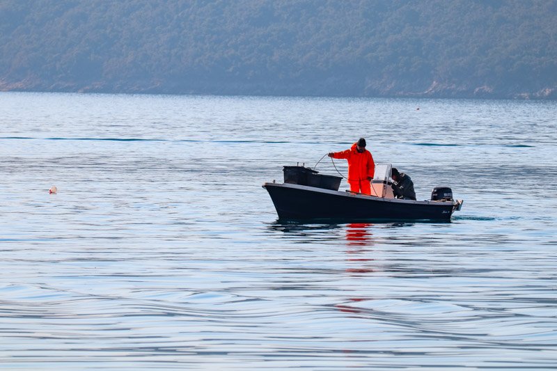Ribari ne vjeruju ministru i Vladi: Zatražićemo da se ne zatvara Poglavlje 13 dok država ne riješi naše probleme