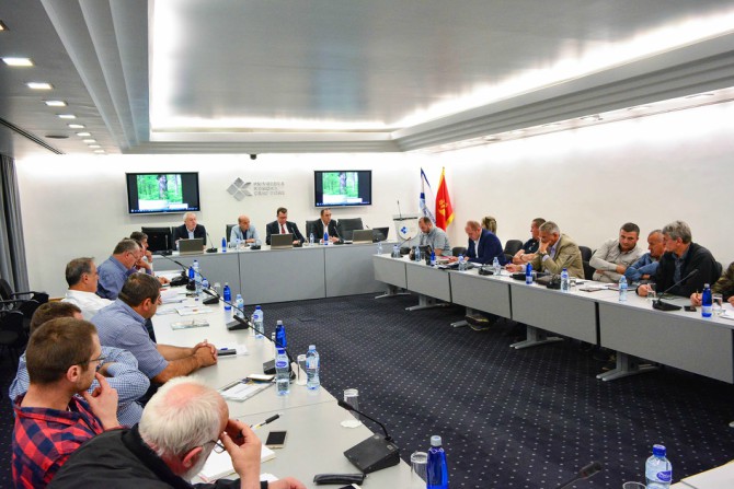 PKCG: Razmatrana Strategija razvoja šuma i šumarstva