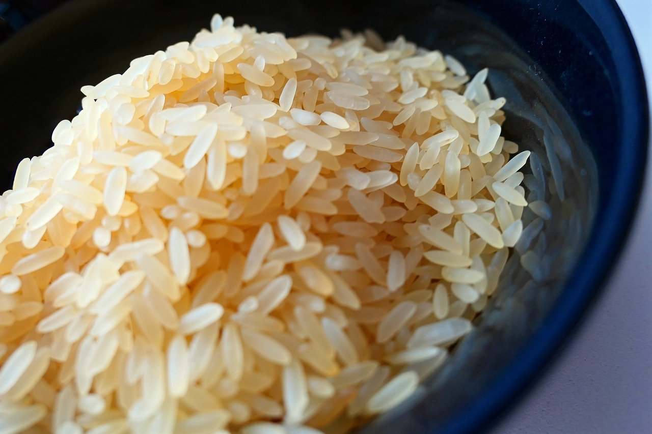 Predstavljena nova vrsta riže