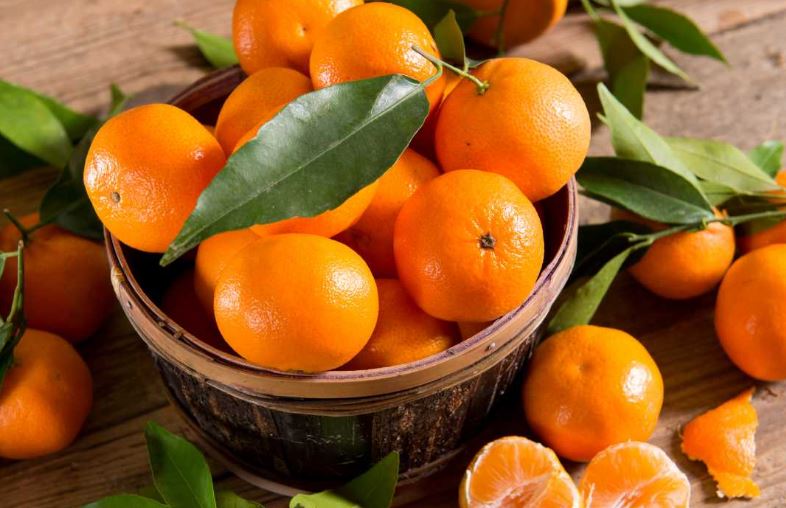 Na crnogorskom tržištu nema spornih mandarina iz Turske