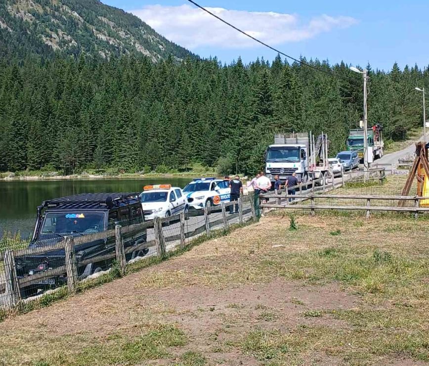 Žabljak: Mještani Zminice blokadom puta kroz selo onemogućili transport balvana