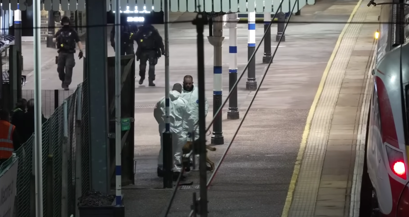 Državljani Velike Britanije uhapšeni zbog sumnji da su ranili 10 osoba u vozu