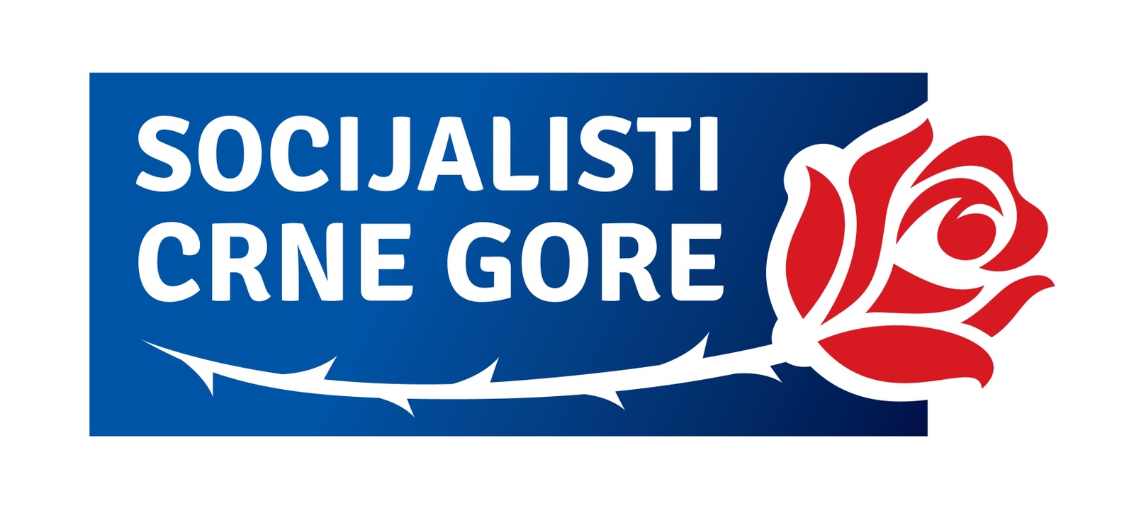 Socijalisti formirali Koordinacioni odbor u Nikšiću