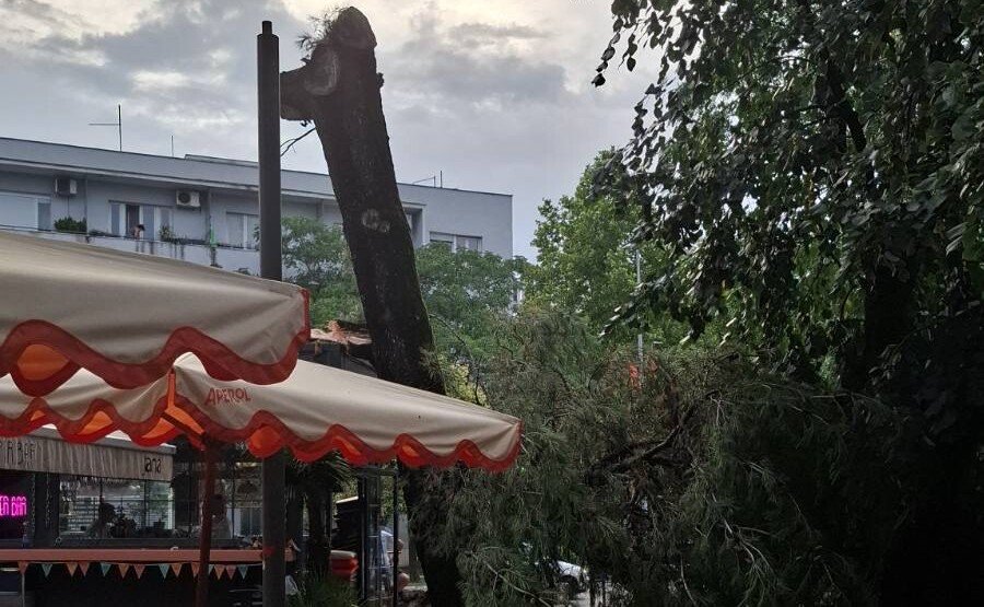 Pogledajte posljedice nevremena u Podgorici: Oboreno stablo u Ulici Jovana Tomaševića