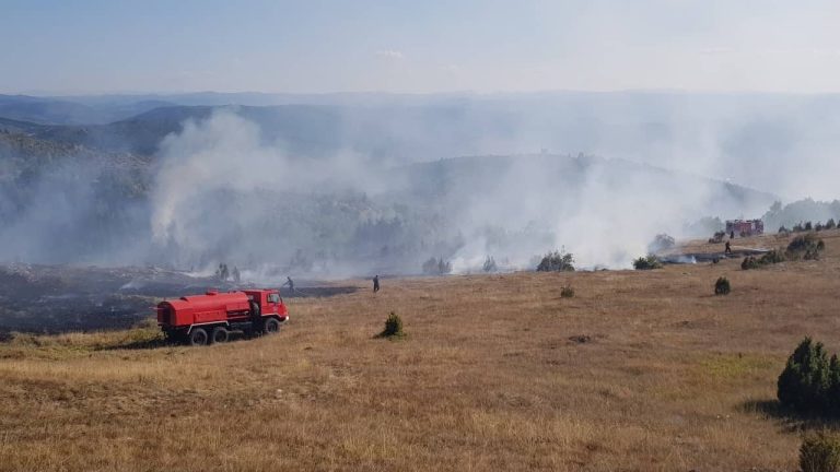 Pljevlja: Piromani izazvali veliki požar, vatru gasili šest sati