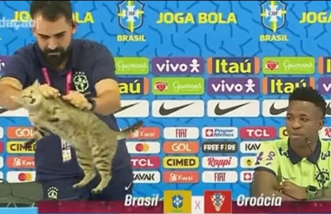 Mačka prekinula konferenciju Brazila pred meč s Hrvatskom, portparol je bacio sa stola