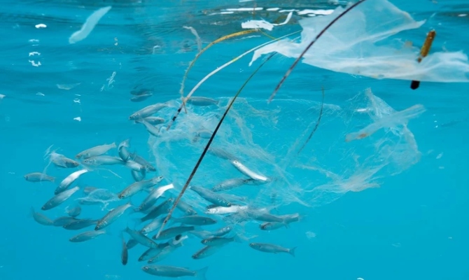 Zbog plastičnih kesa: Do 2050 u morima će biti više plastike nego ribe