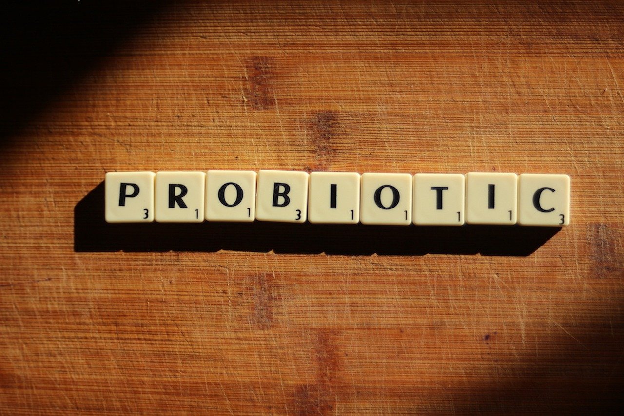Probiotici i prebiotici – u čemu je razlika