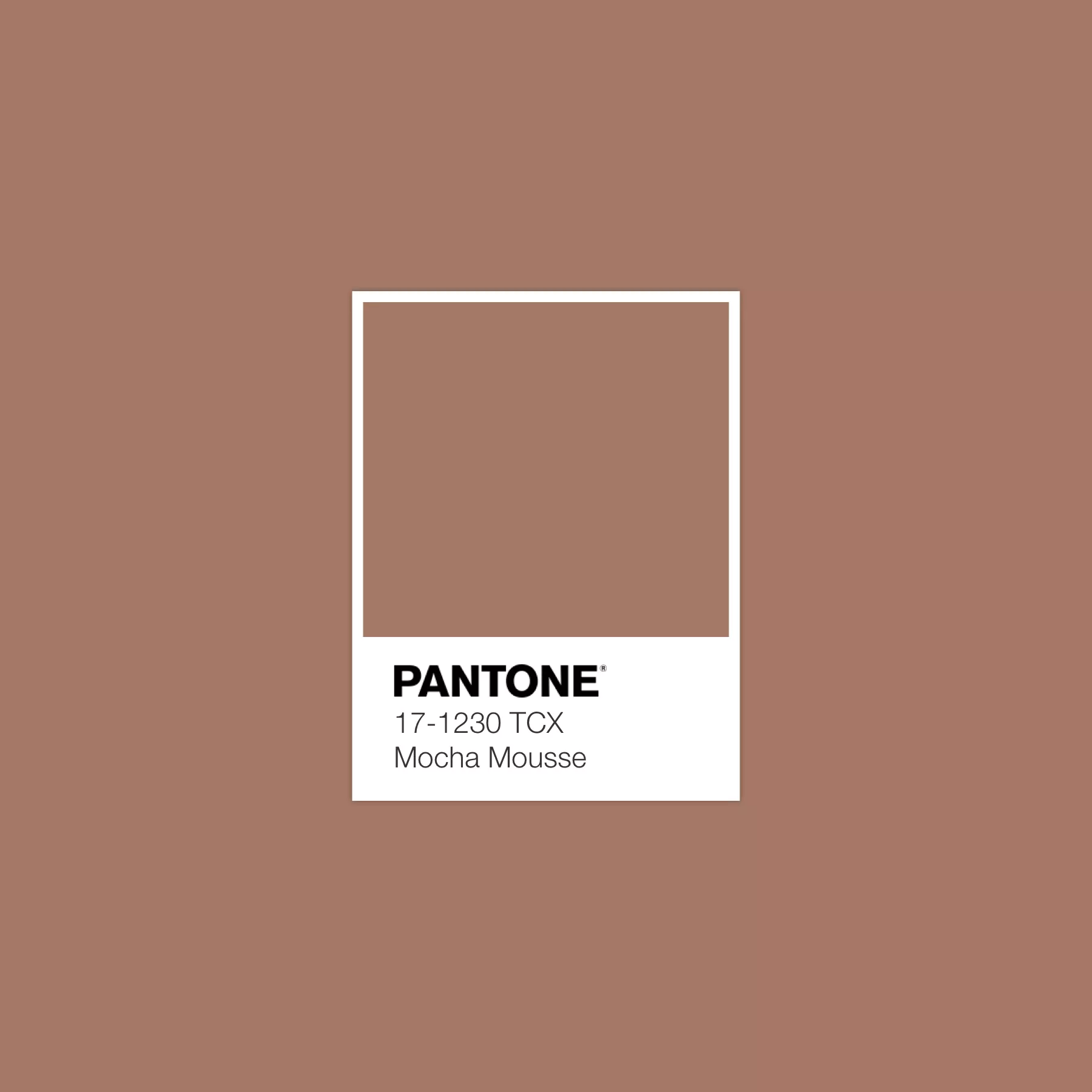 Pantone za 2025. odabrao da boja godine bude Mocha Mousse