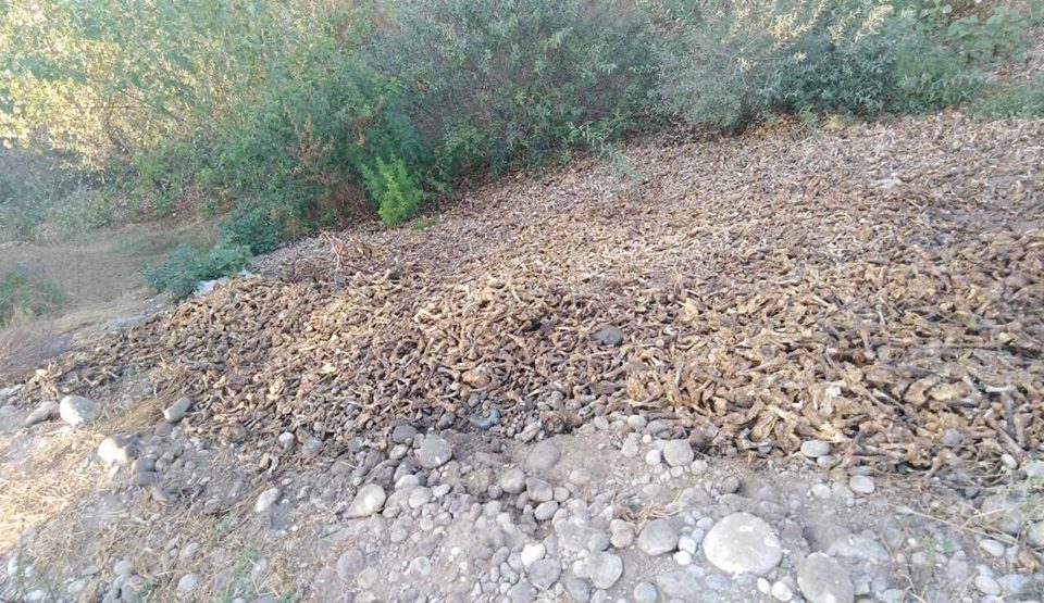 Komunalna policija obišla teren: Na obali Morače nema kokošijih nogu