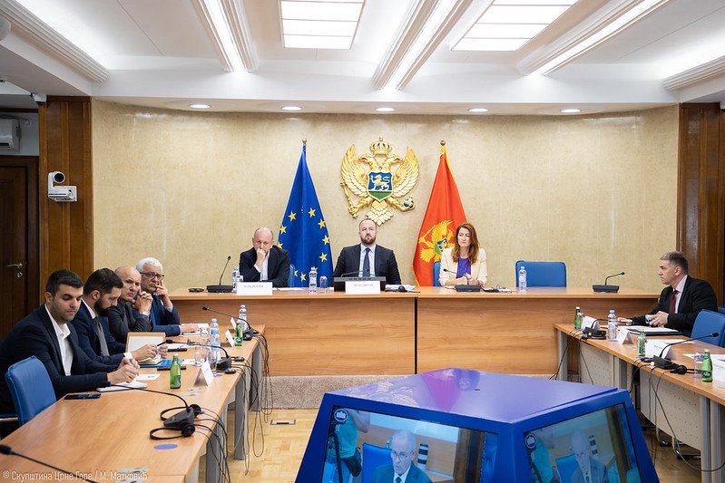 Brajušković pred Anketnim odborom 17. juna