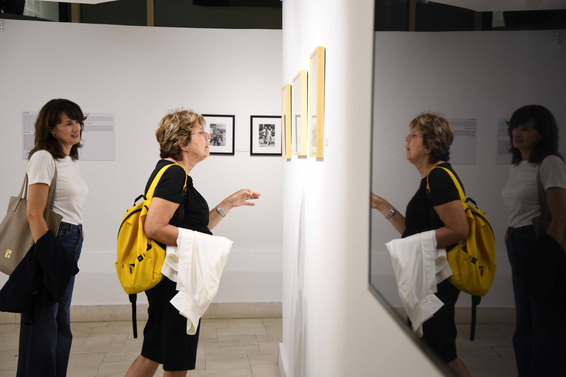 Otvorena izložba Vladana Radovanovića u Galeriji Muzeja savremene umjetnosti Crne Gore