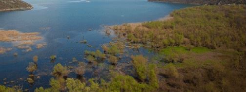 Skadarsko jezero: Pronađeno tijelo muškarca