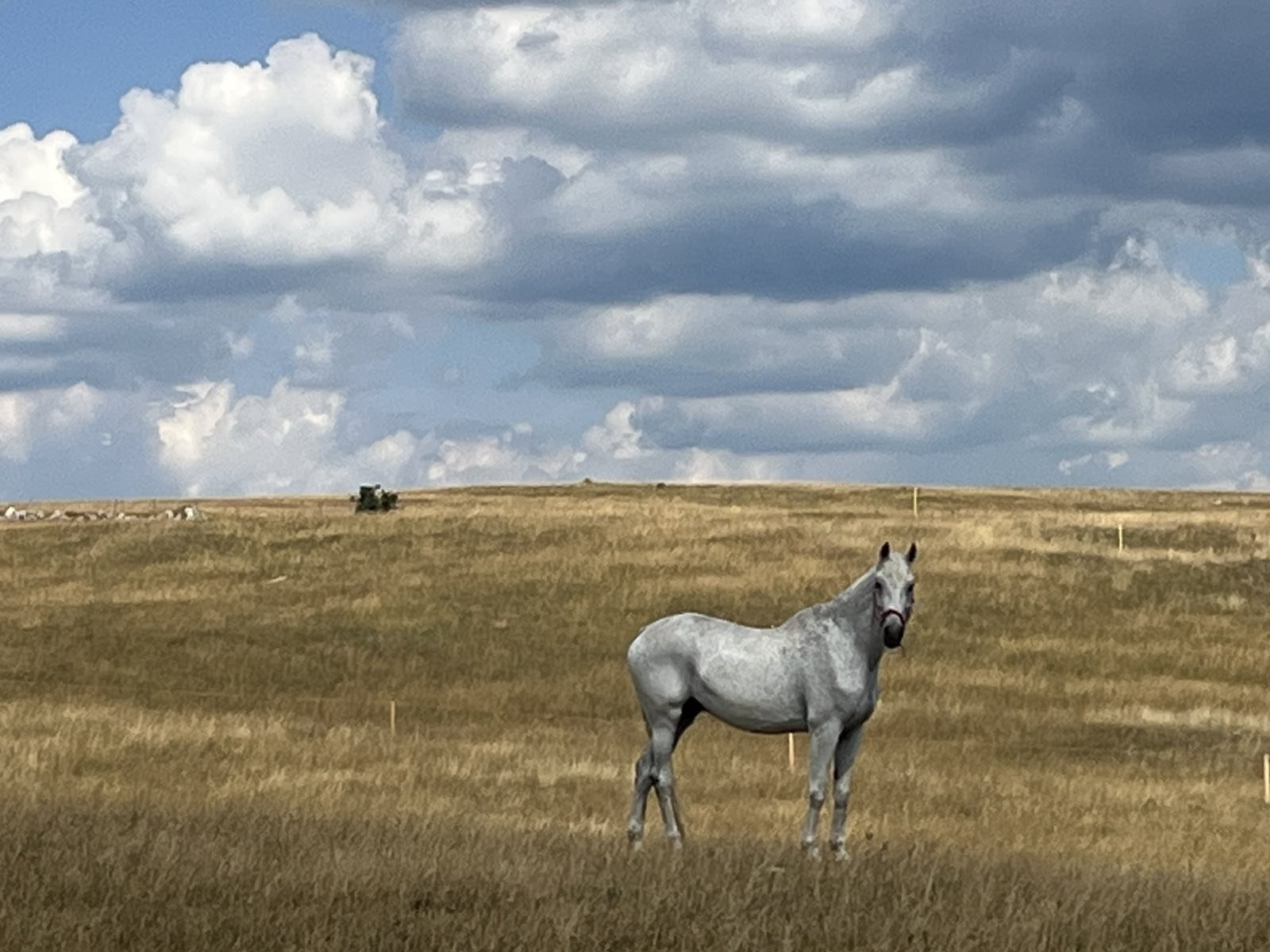 Vrijeme sjutra: Sunčano i toplo, temperatura do 25 stepeni