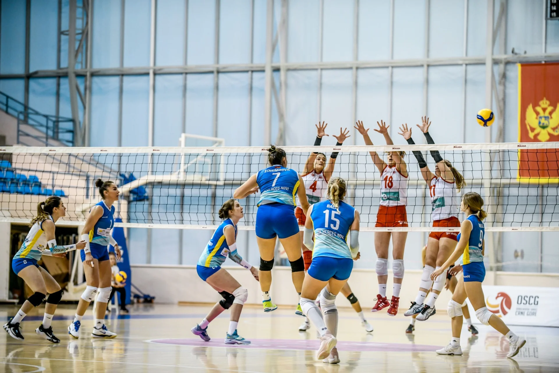 Galeb Liko Soho group i Herceg Novi u finalu