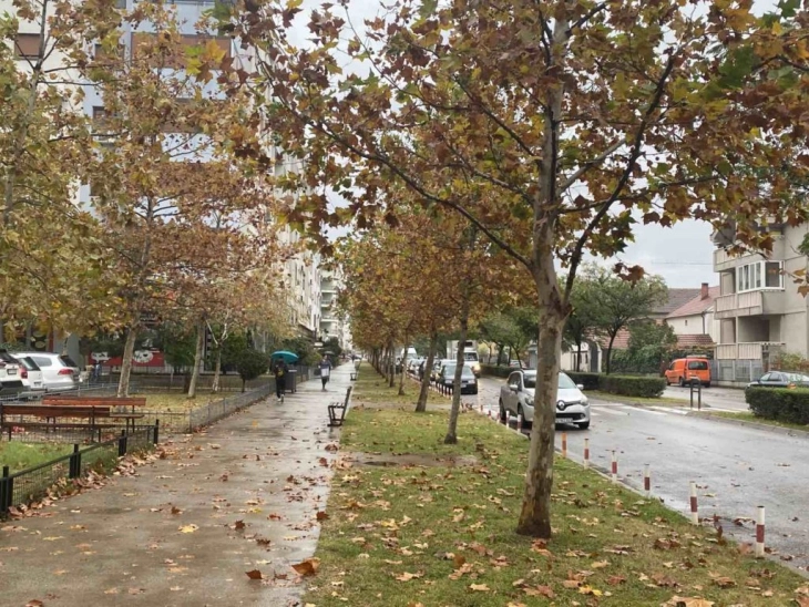 Sjutra oblačno sa kišom