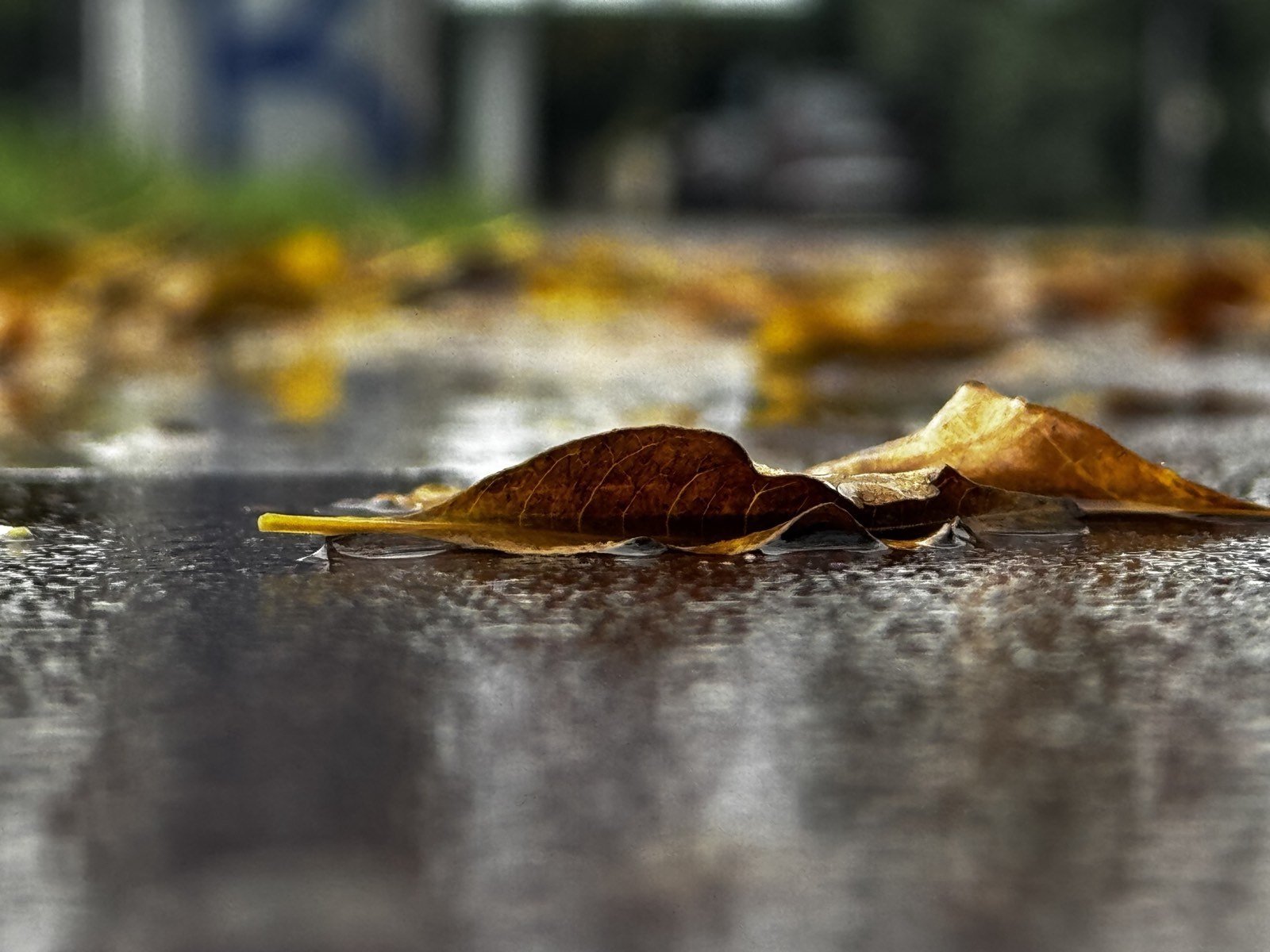 Sjutra pretežno oblačno, povremeno kiša