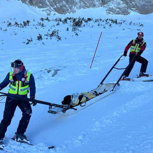 FOTO Humanost u svakoj situaciji: Gorska služba spasila povrijeđenog labradora na Durmitoru