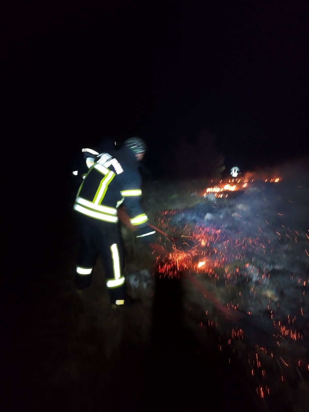 Žabljak: Vatrogasci protiv vatrene stihije, pogledajte