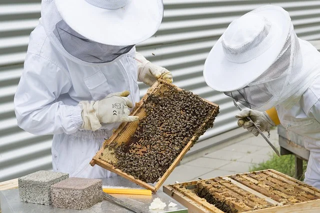Utrošena sredstva za nabavku pčelarske opreme za transport