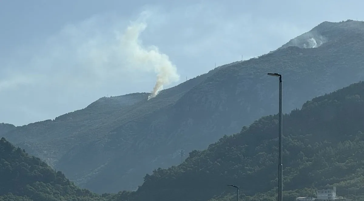 Požar na Lovćenu ponovo buknuo, stigao helikopter Vojske