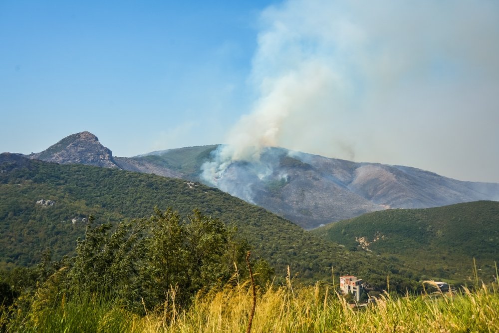 Coca-Cola HBC Srbija i Crna Gora pruža podršku zajednicama pogođenim požarima – donacija od gotovo 50.000 litara proizvoda