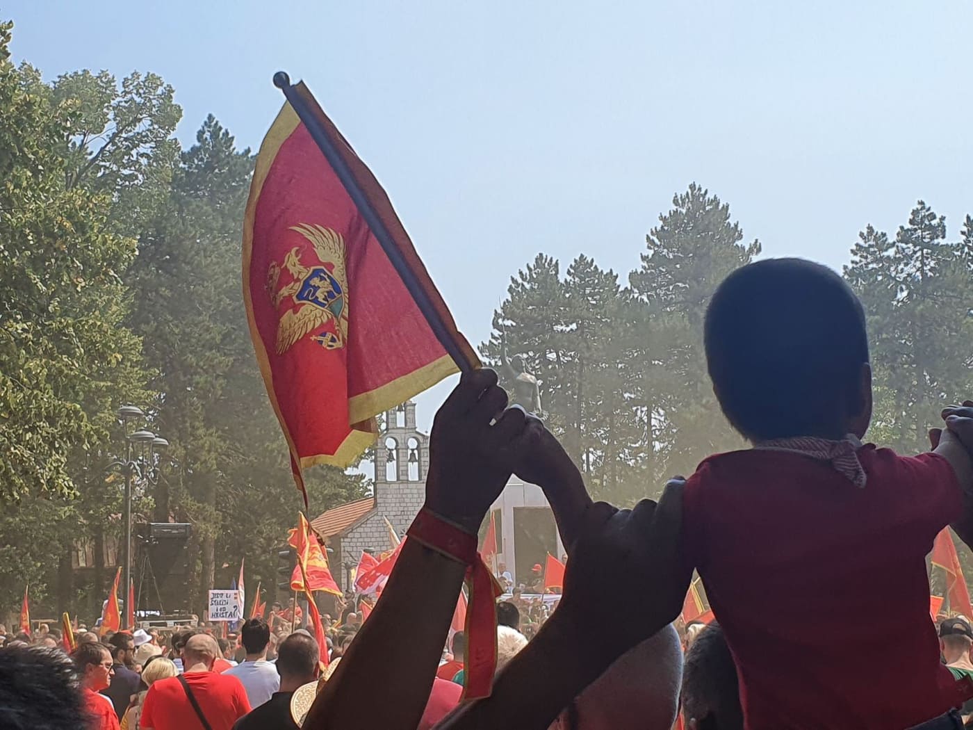 Grupa građana Cetinja - Śutra protest ispred izdajničke Vlade Crne Gore