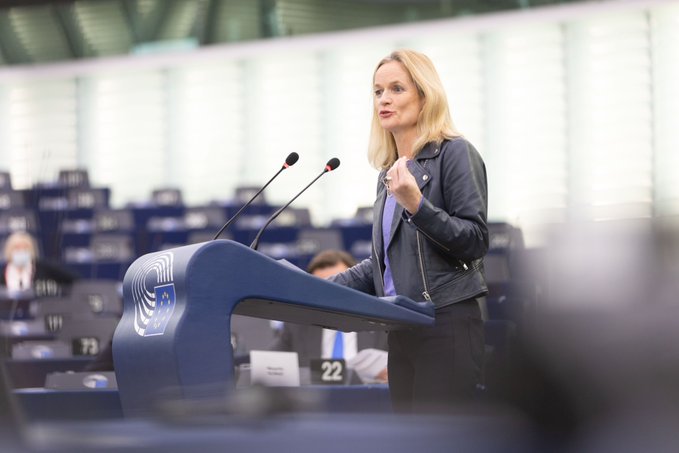 EP usvojio rezoluciju o Srbiji: Na tapetu ljudska prava, Linglong i Rio Tinto