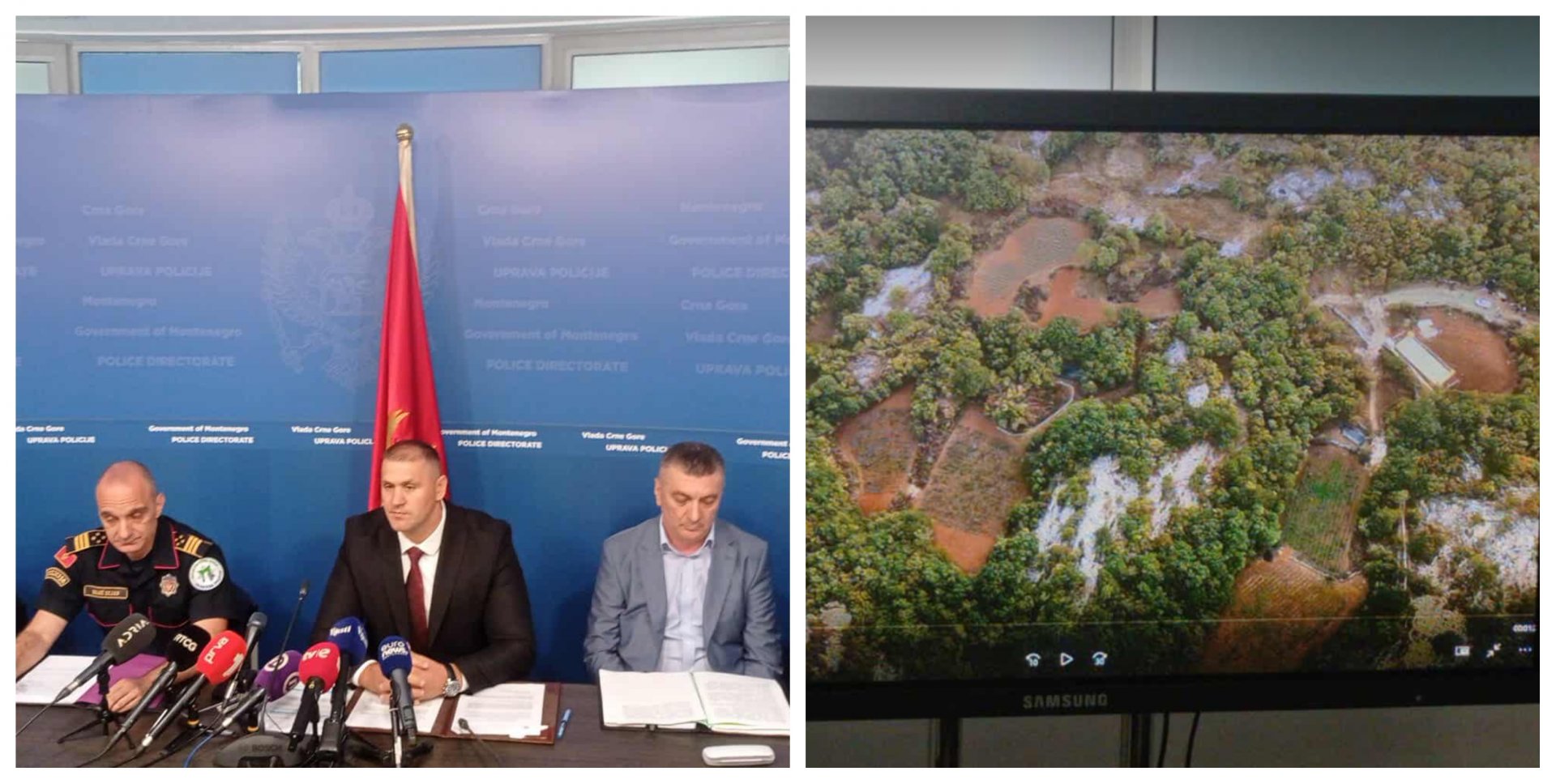 Šćepanović o najvećoj plantaži marihuane:  Iza ovog stoji organizovani kriminal, uhapšene dvije osobe