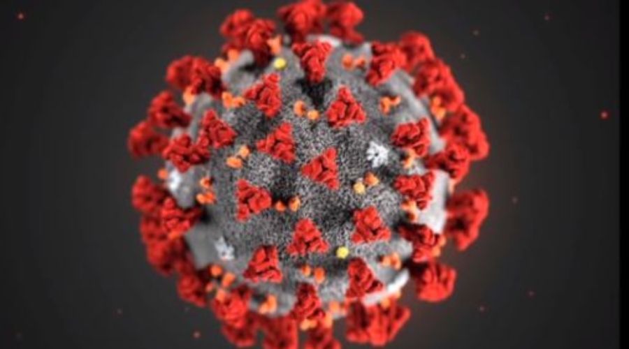 SZO: Koronavirus možda nikada neće nestati